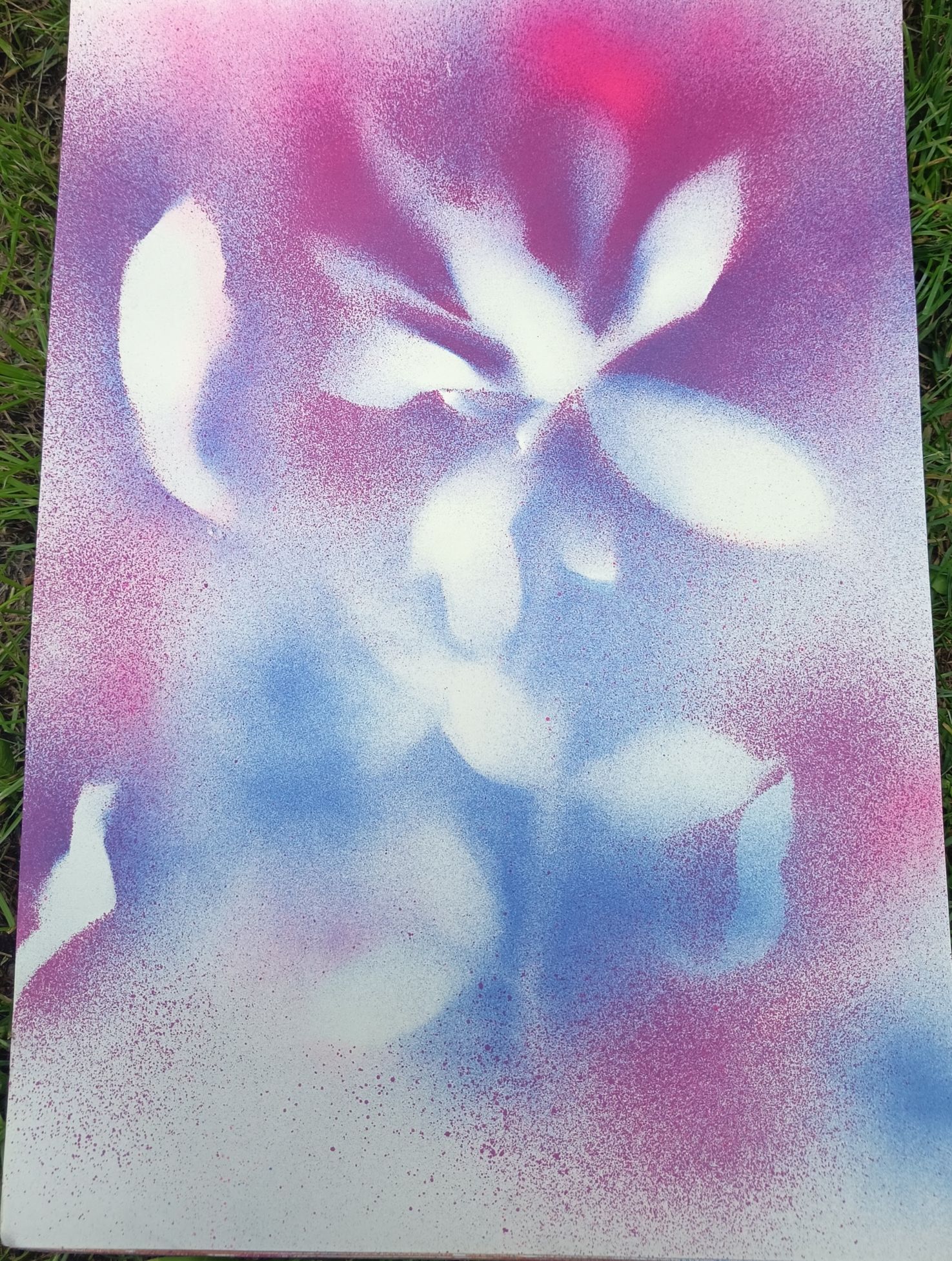 magnolie III